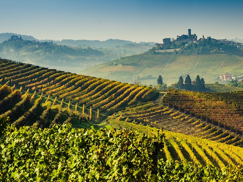 Barolo landscape