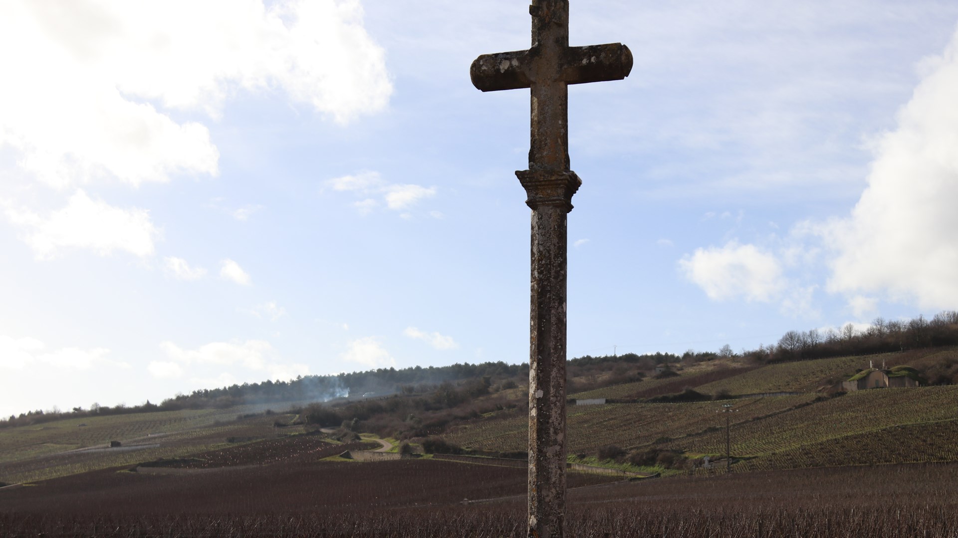 Domaine de la Romanée-Conti