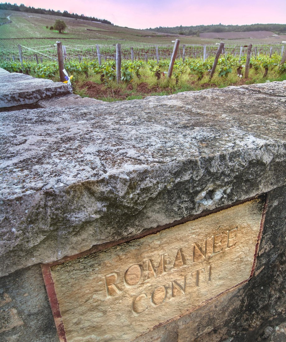 romanee-conti-vineyard