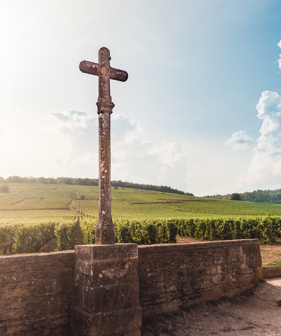 romanee-conti-vineyard
