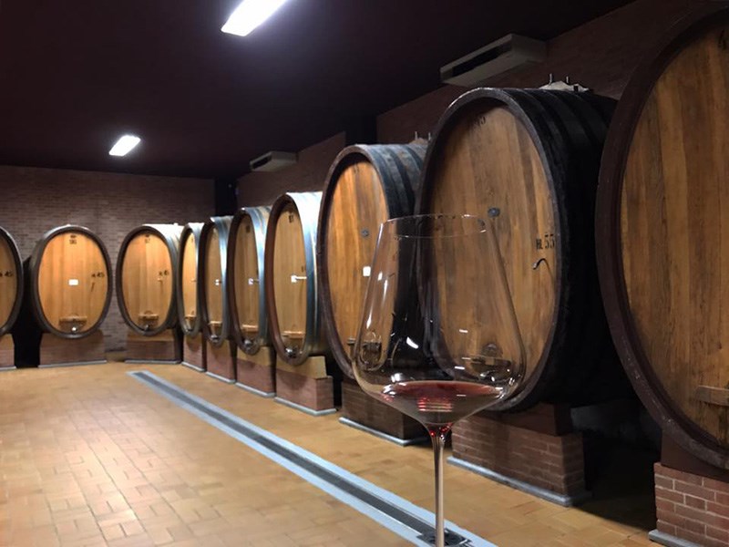 Vinprovning i Giacomo Conternos källare