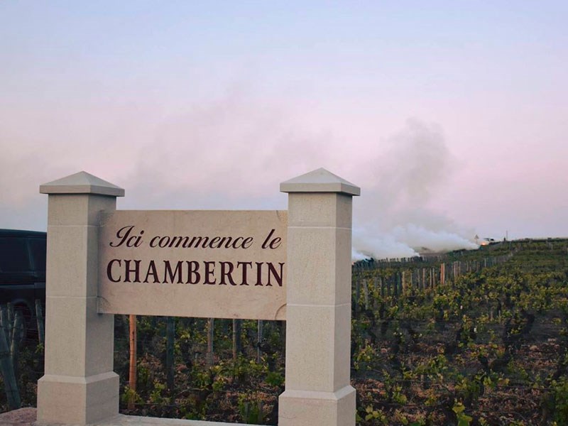 2023 Clos de Vougeot & Clos de Beze
